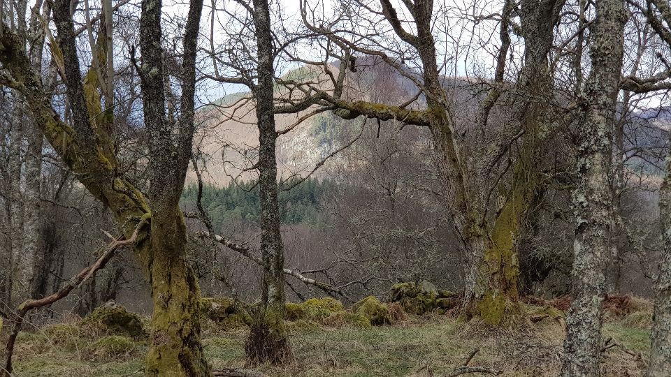 Slideshow 5 - Slide 16